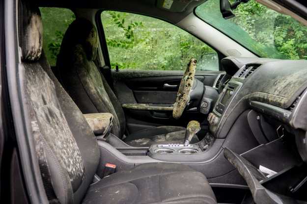 car with mold
